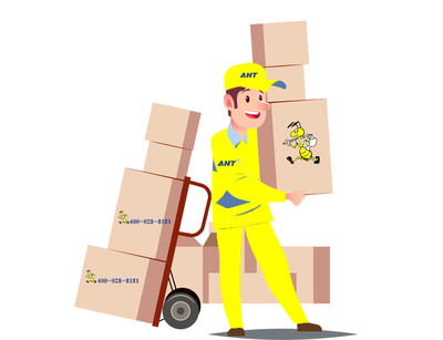 搬家当日全攻略 细节决定成败，助您顺利开启新篇章